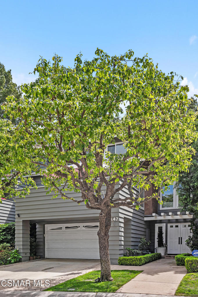 1447 View Drive