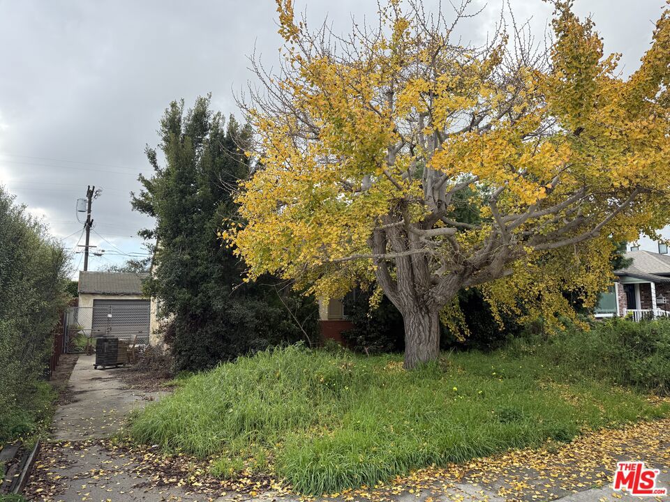6456 87th Street