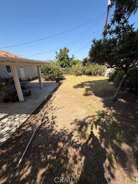 3111 Hollingworth