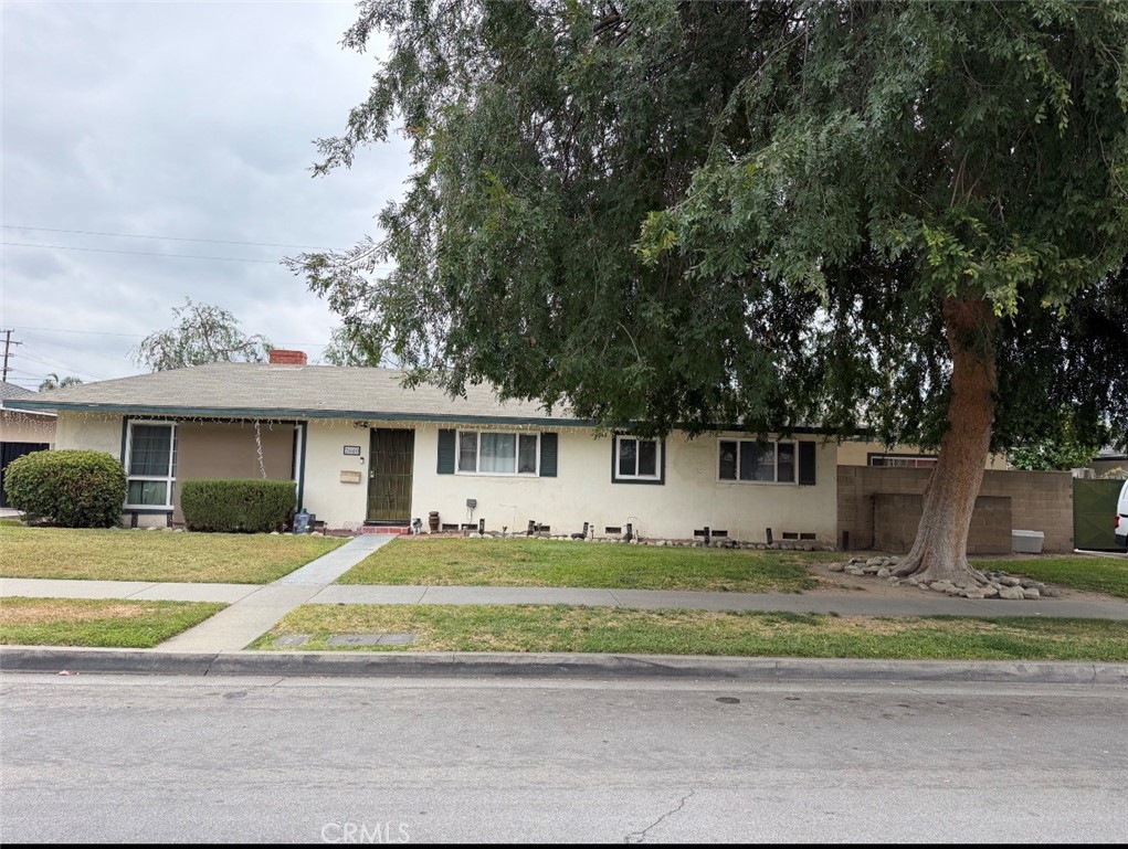 2640 Treelane