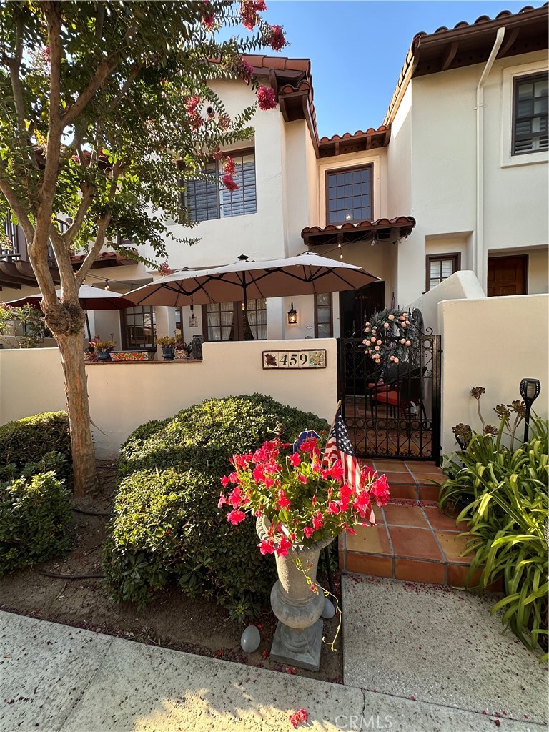 459 Bougainvillea