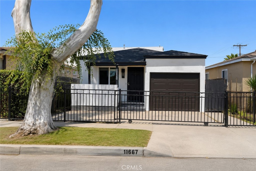 11667 Elm