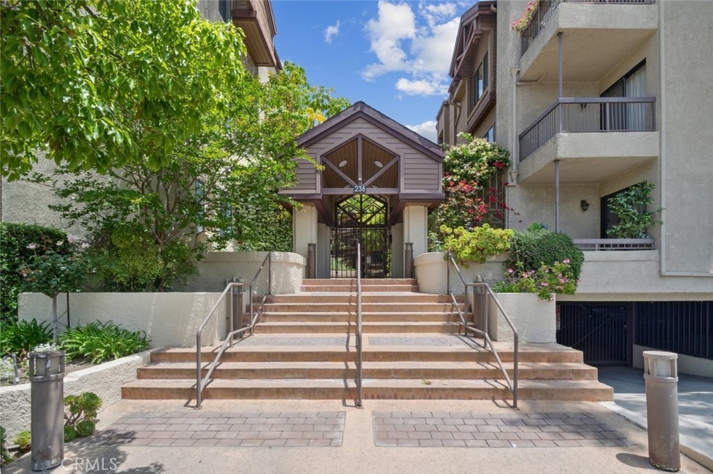 236 Louise Street