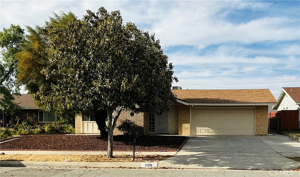 1126 Lucerne