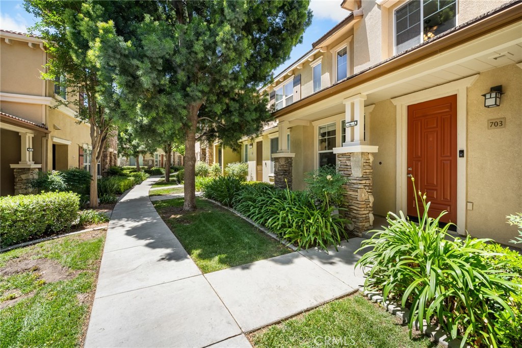 30505 Canyon Hills