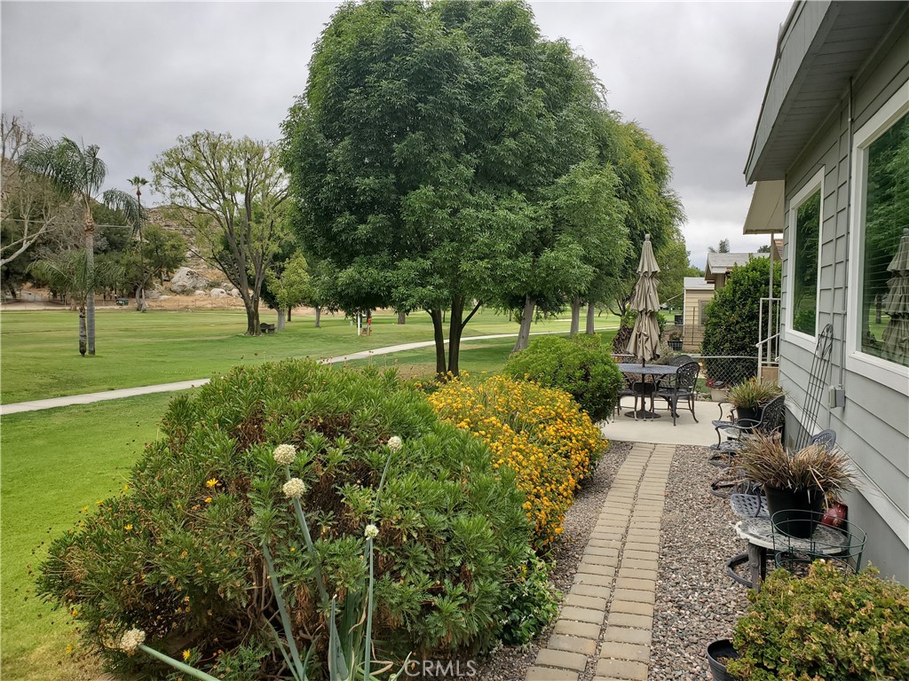 30761 Paradise Palm