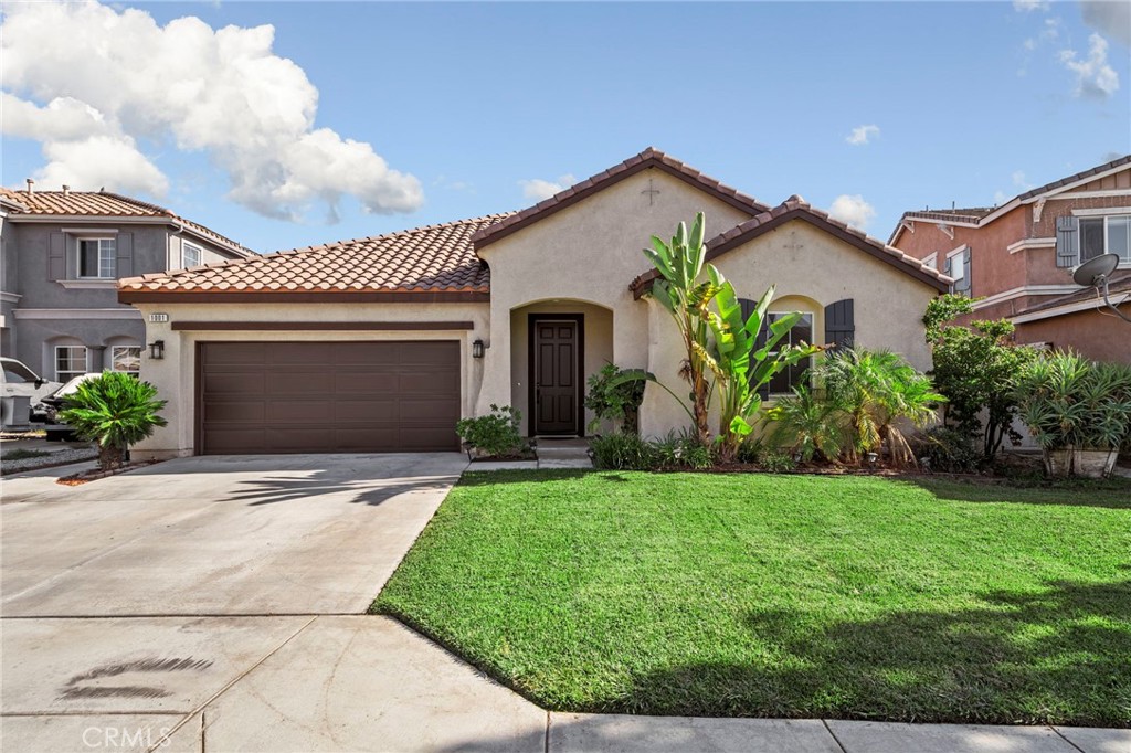 1001 Curlew Street