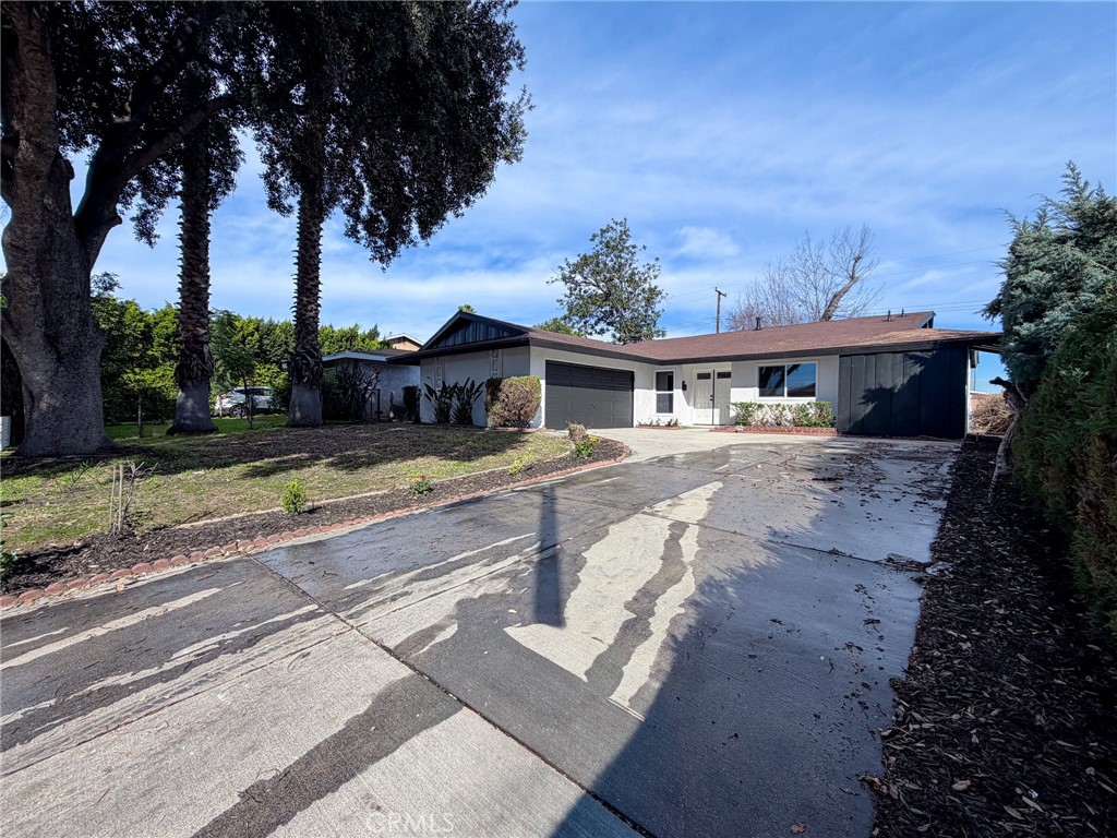 1634 Lantana