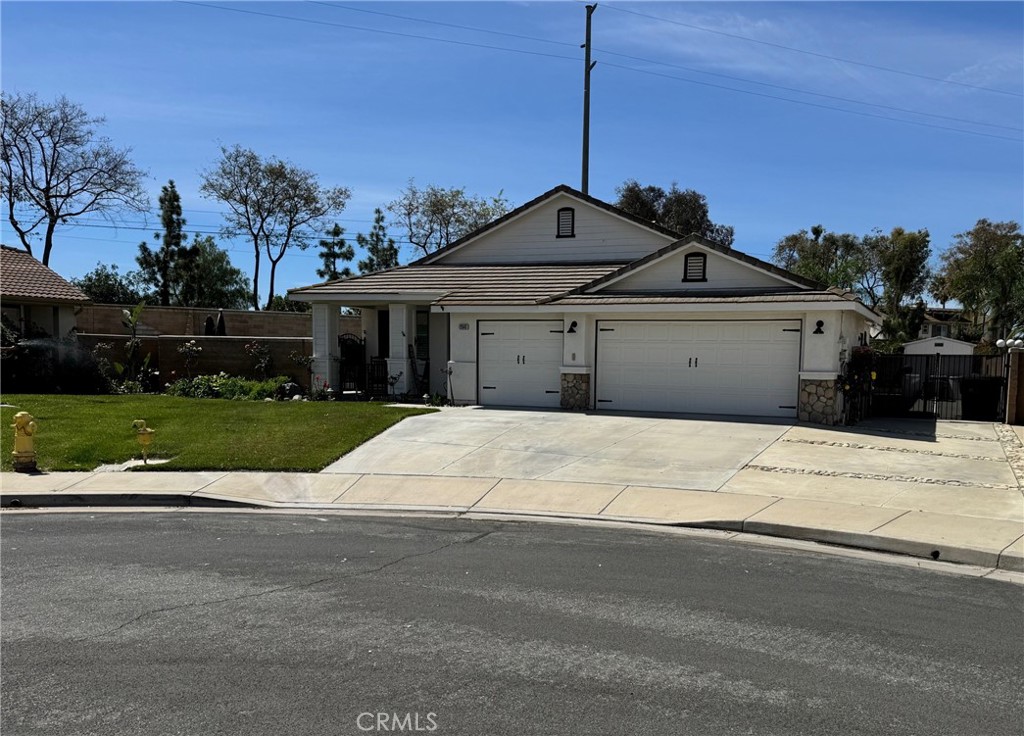 12643 Dutch Court