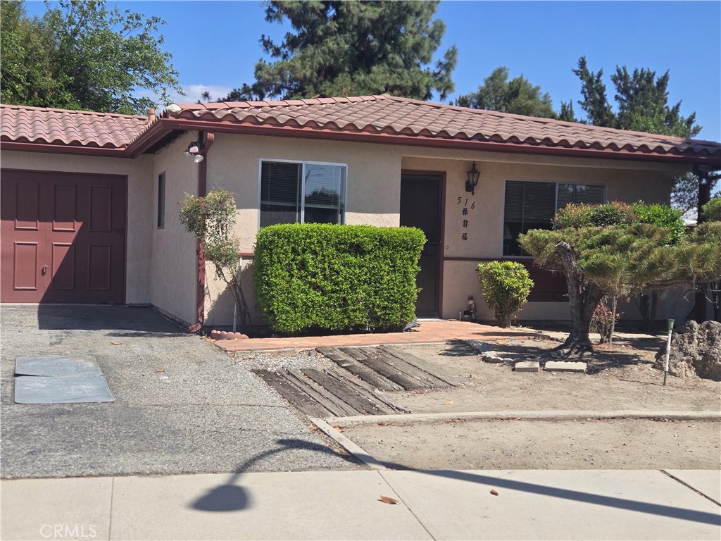 516 San Rogelio