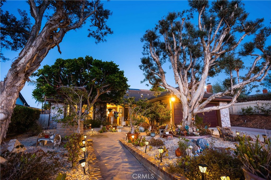 803 Hollyridge