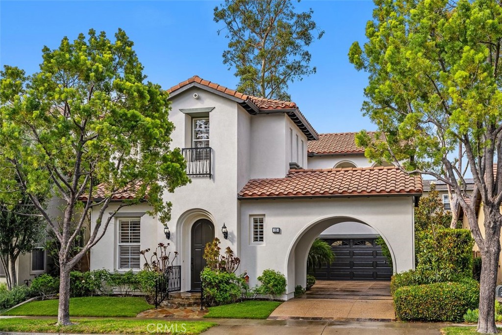 25 Carpenteria