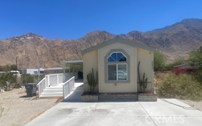 60035 Palm Oasis