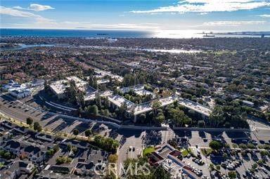 564 Bellflower