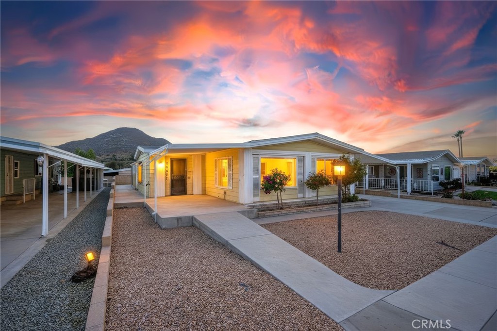 30857 Silver Palm