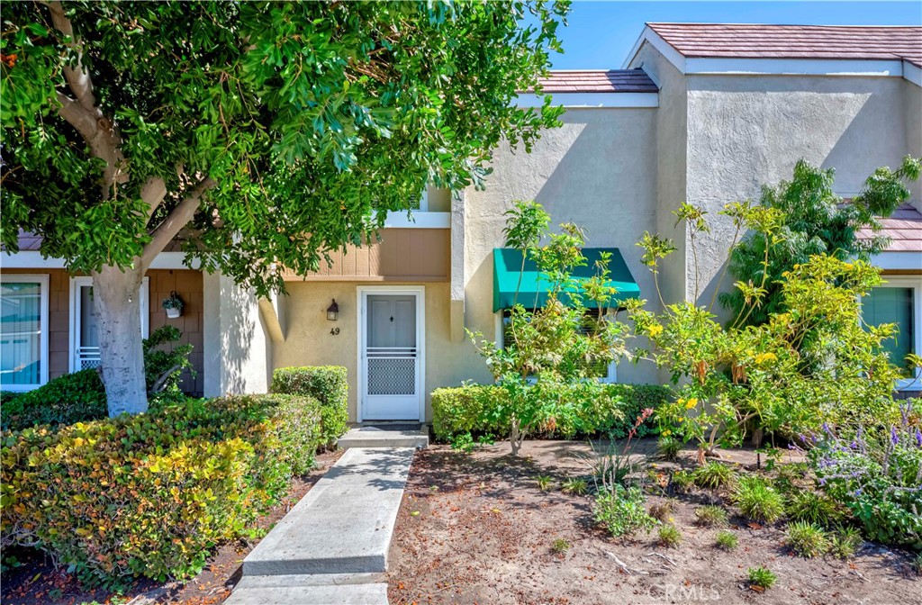 49 Meadowgrass