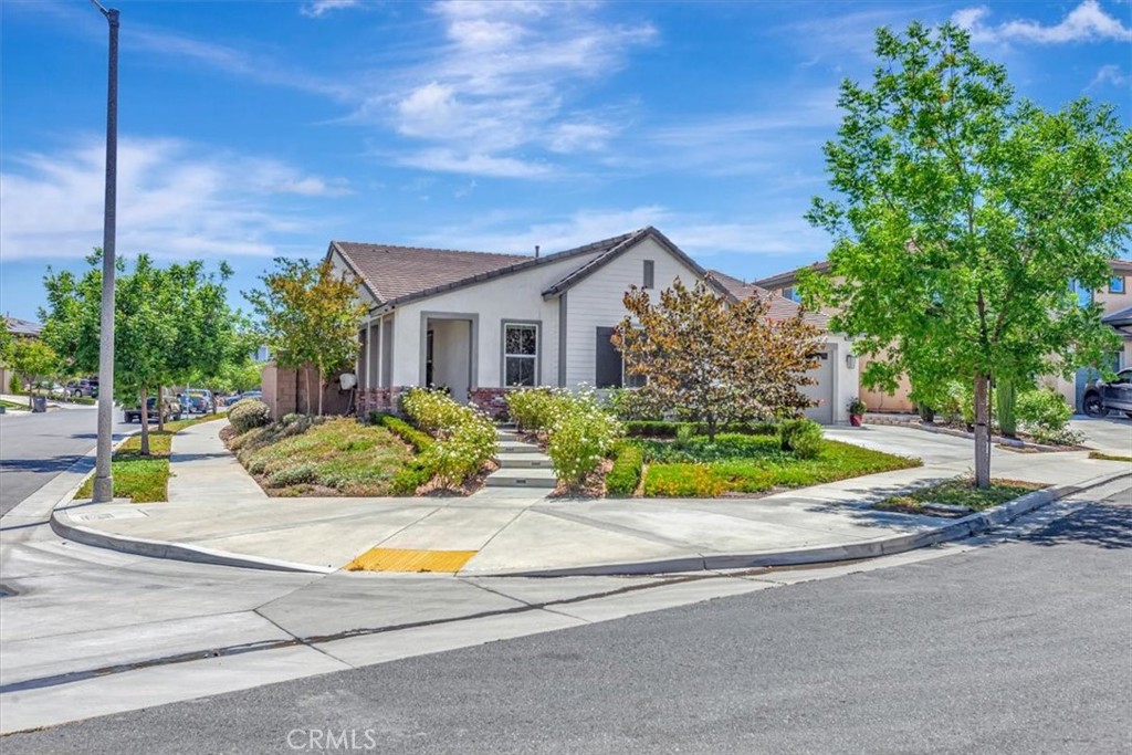 31058 Altai Lane