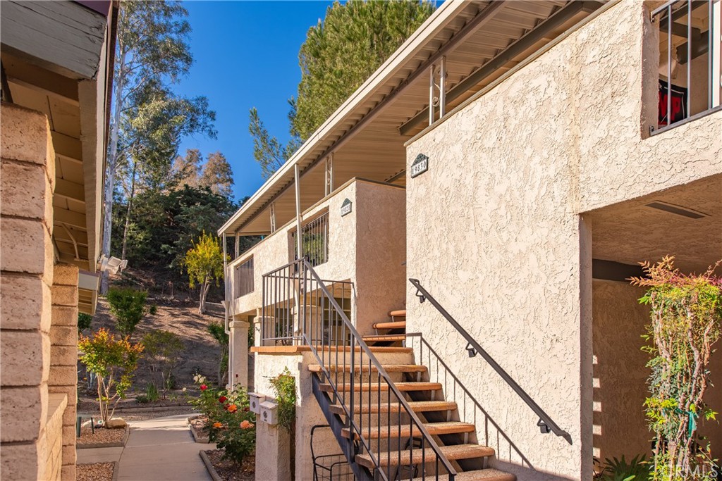 19828 Spanish Oak