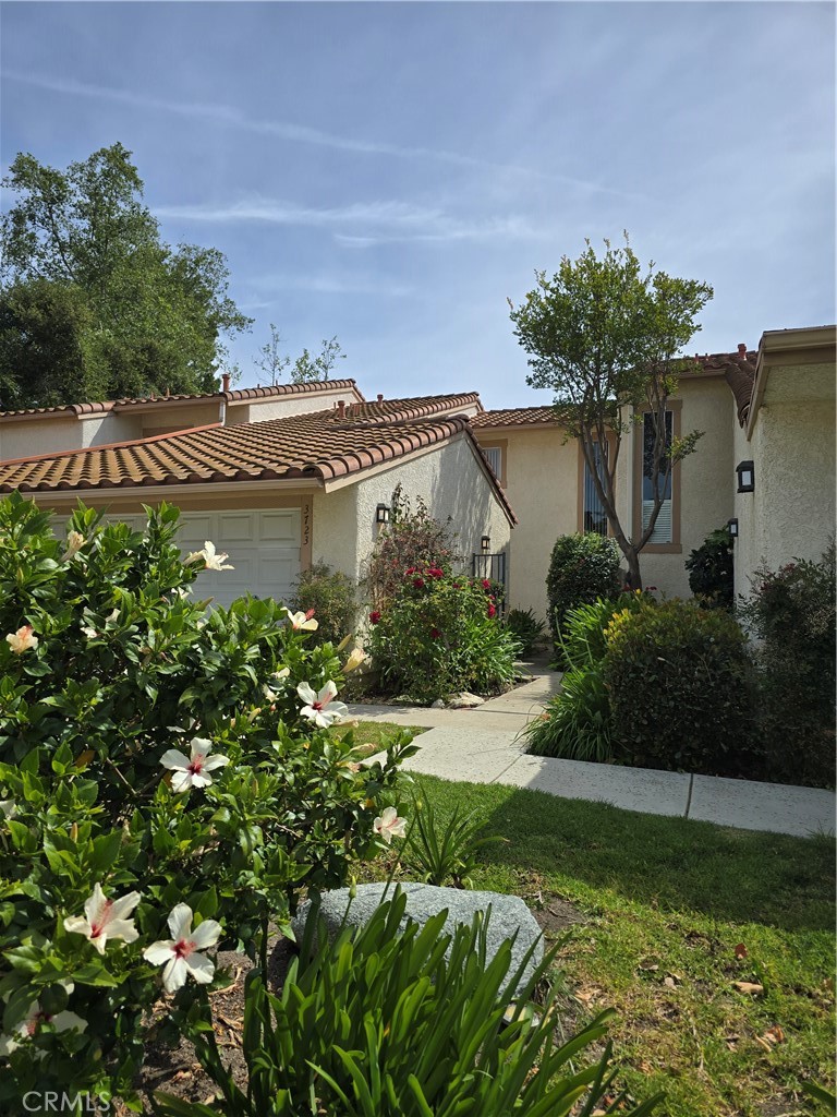 3723 Oak Glen
