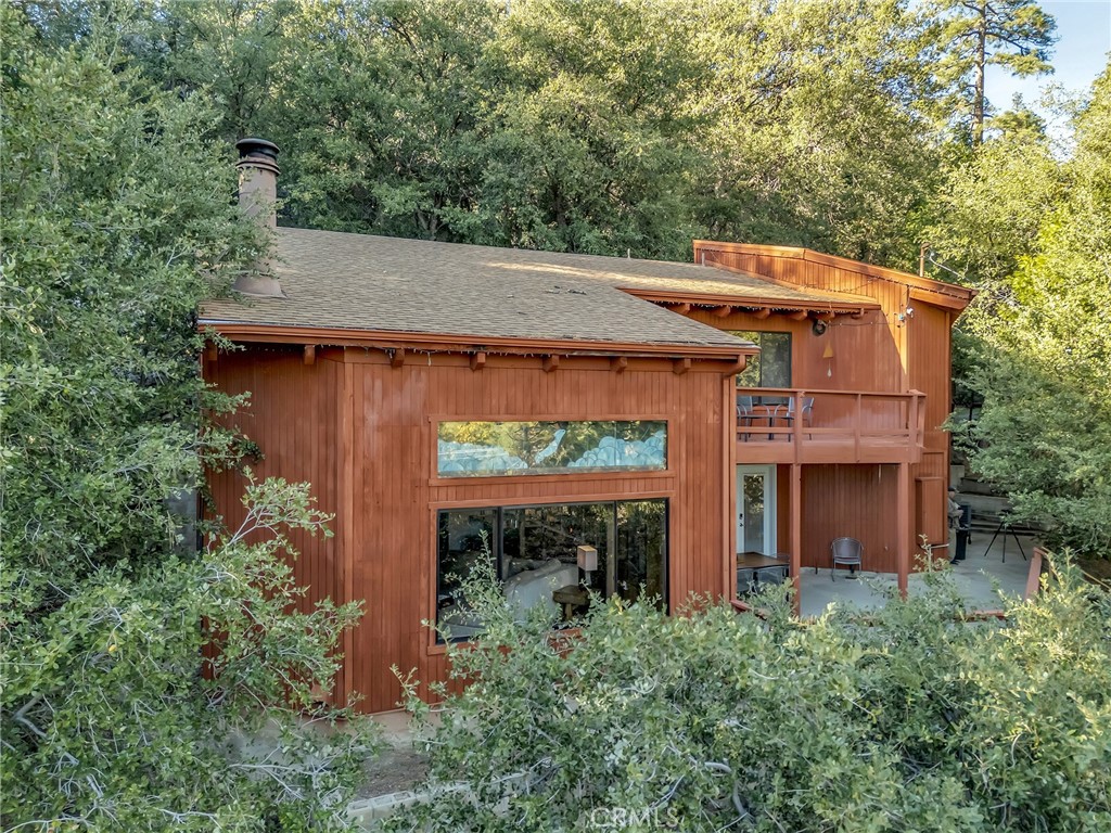 53580 Jeffrey Pine
