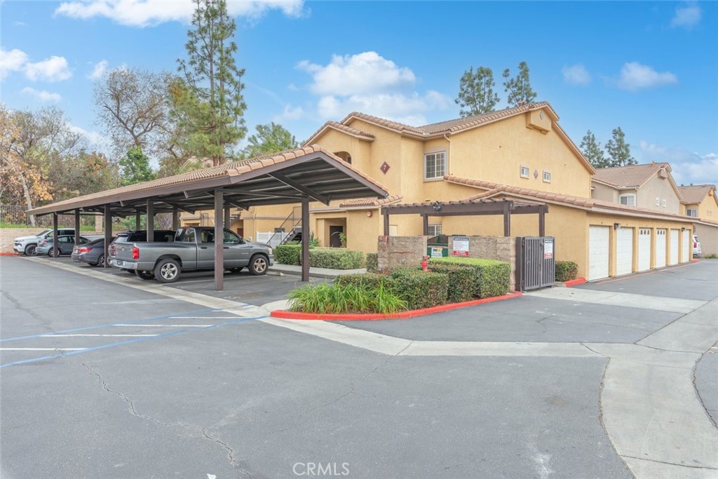 41410 Juniper #721
