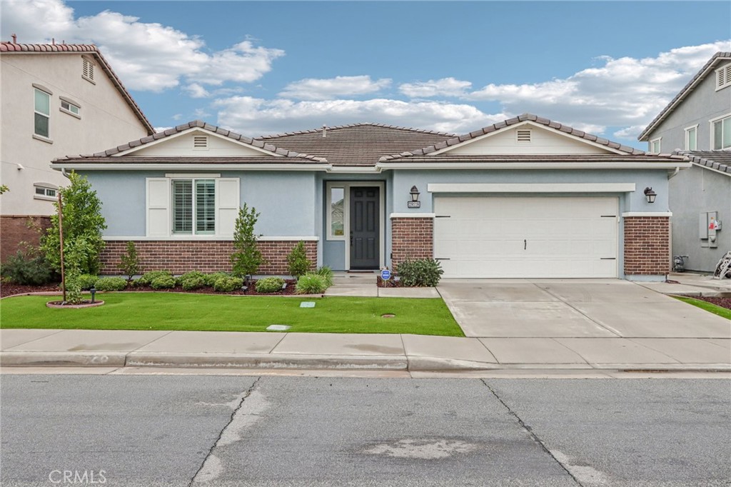 29118 Carrotwood