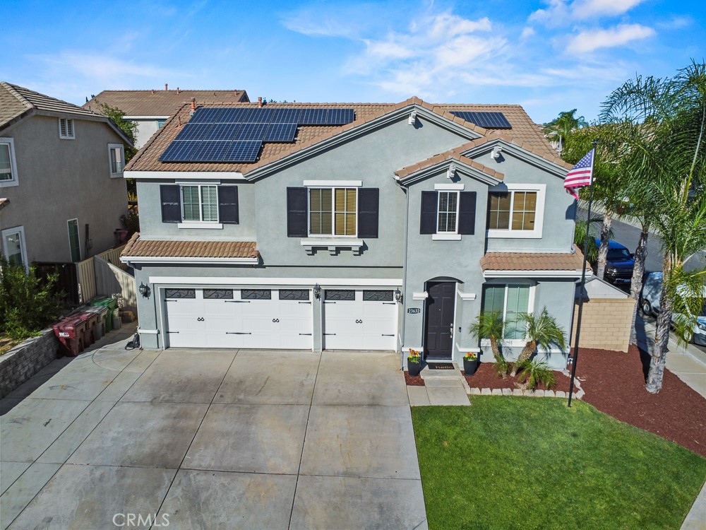 23632 Coast Live Oak