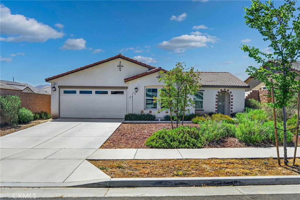 573 Corkwood Street