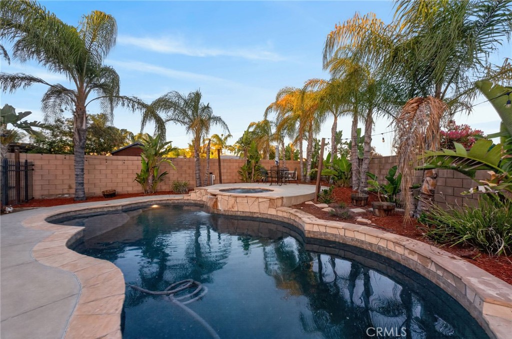 31247 Pinon Pine