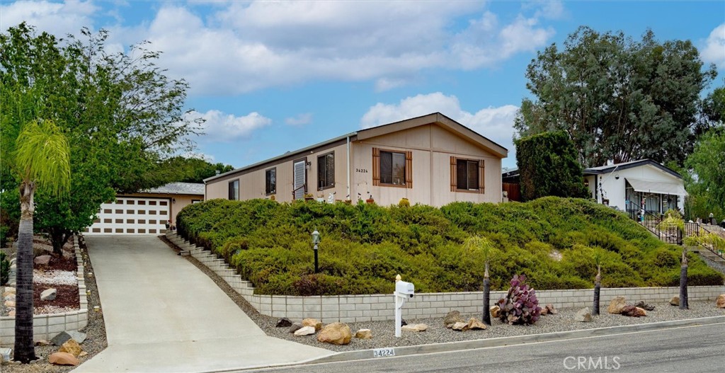 34224 Olive Grove