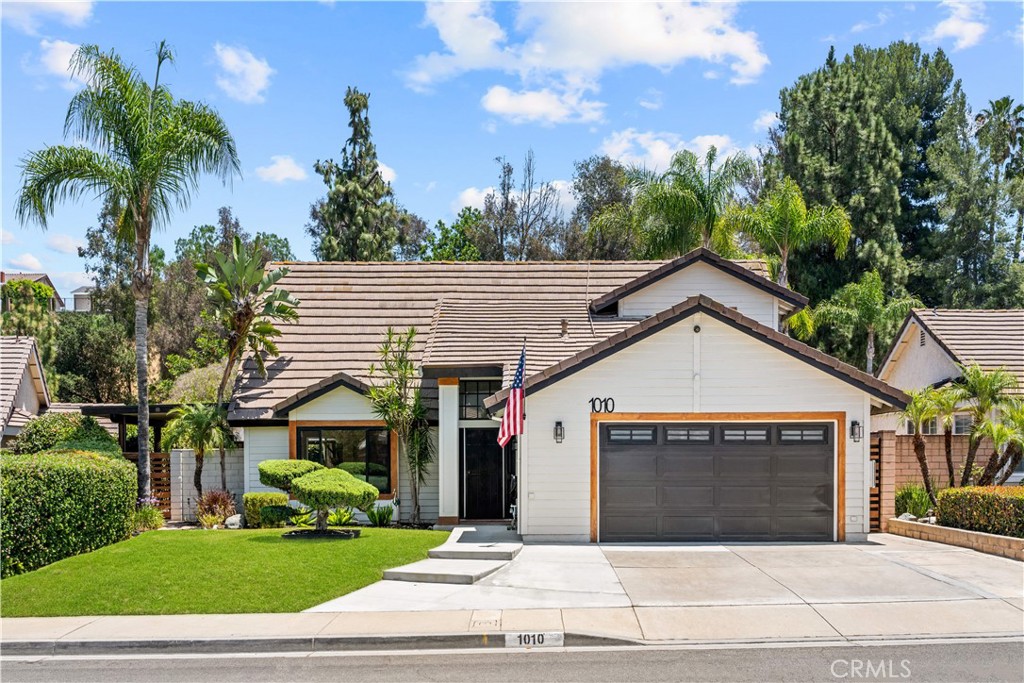 1010 Cogburn