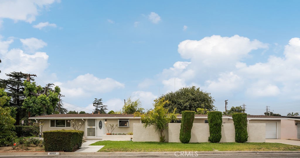8503 Callita