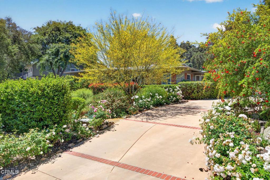 203 Foothill Road