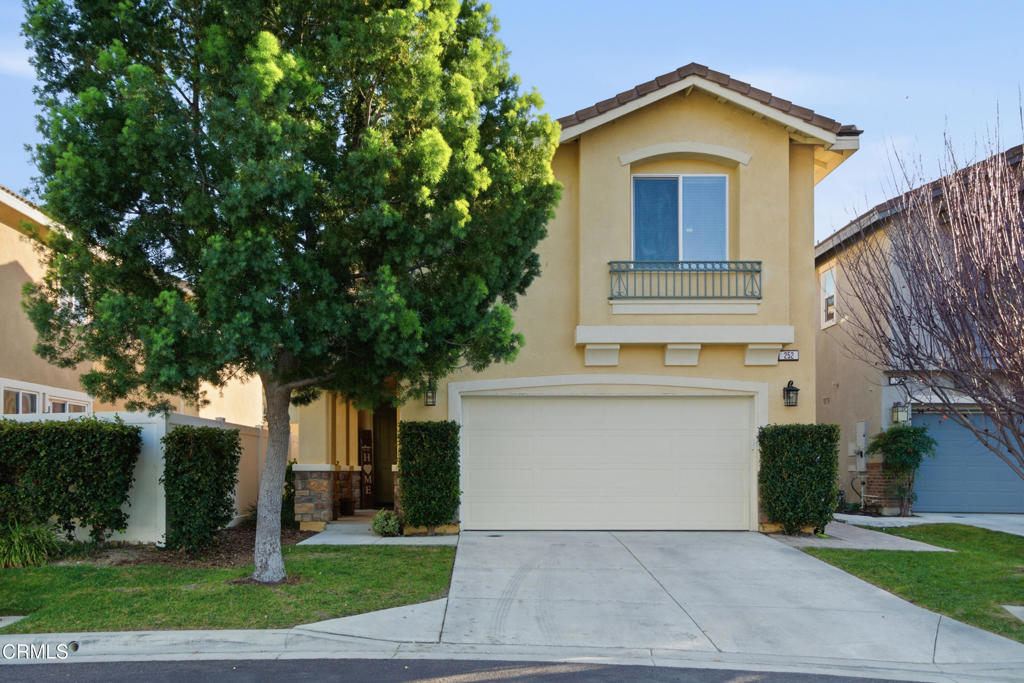 252 Driftwood Street
