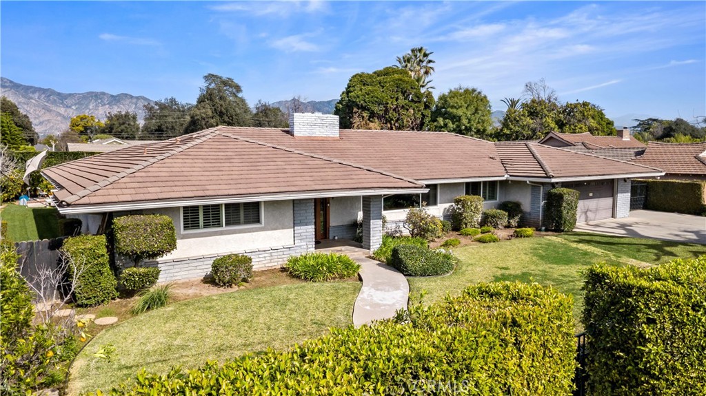 541 Rosemarie