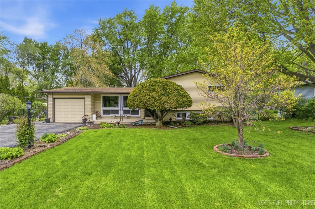29W454 Ray Avenue
