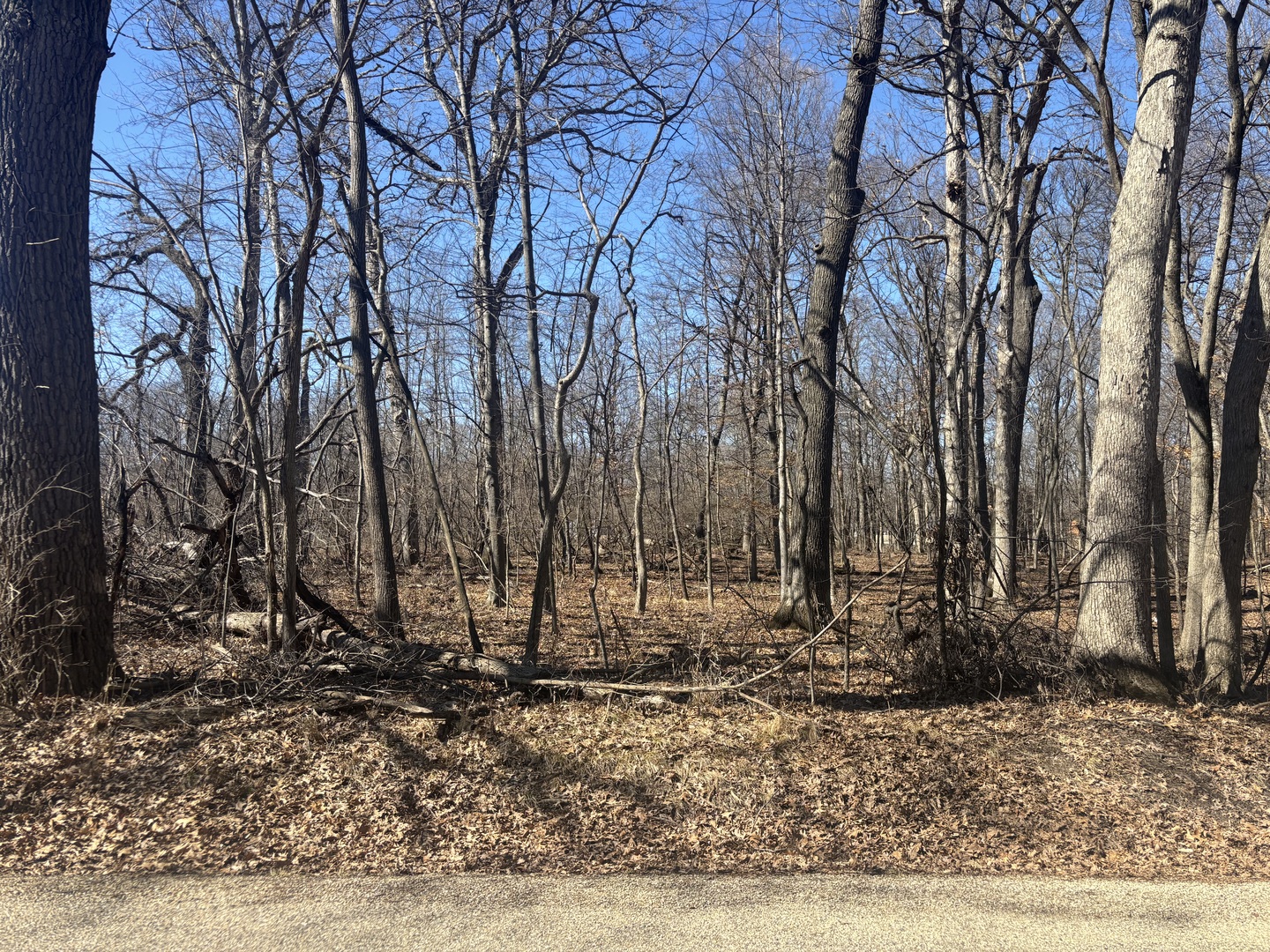 679 Rollingwood Place