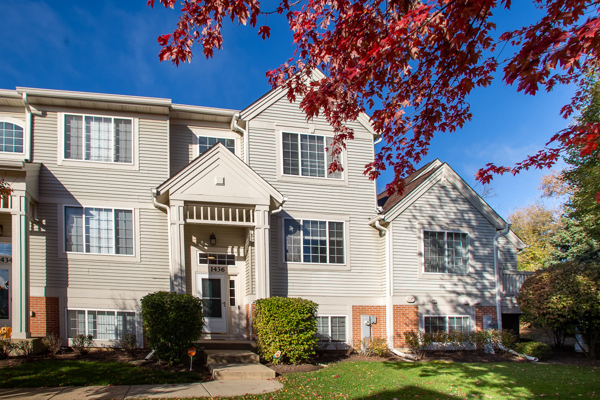 1436 NEW HAVEN Drive