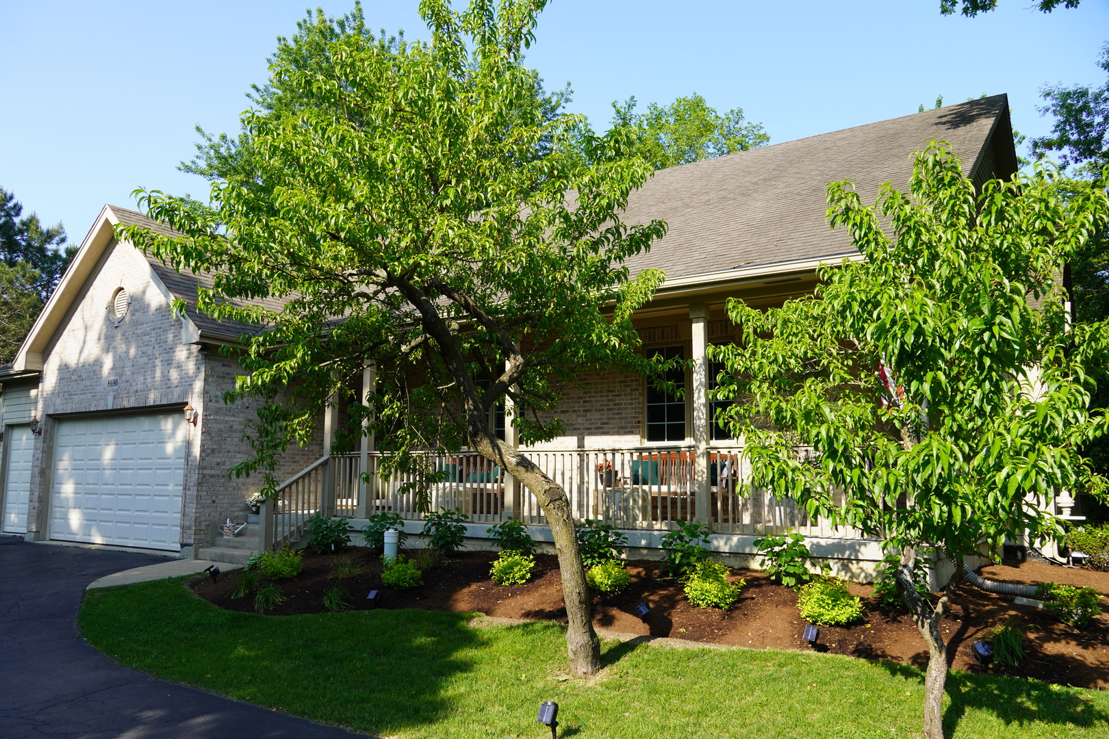 8690 Shade Tree Circle