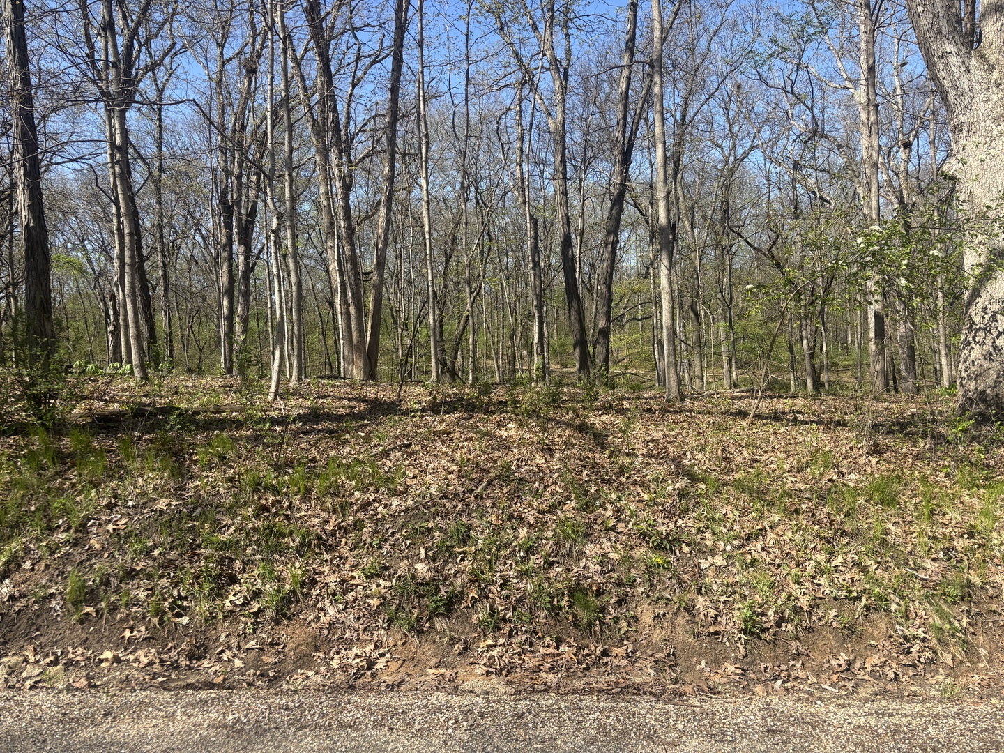 1618 Tanglewood Drive