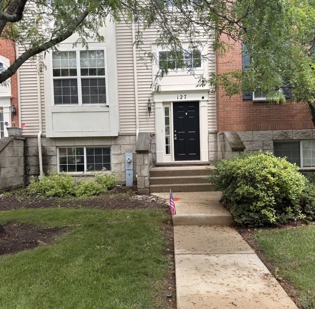 127 Willey Street