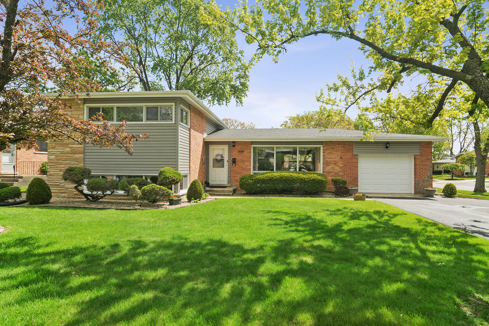 555 Cedar Street