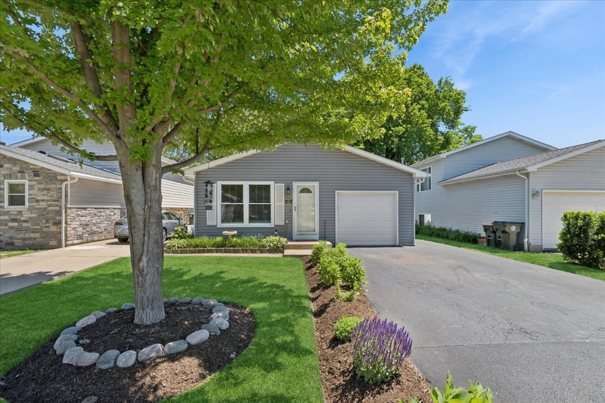 313 Maple Lane