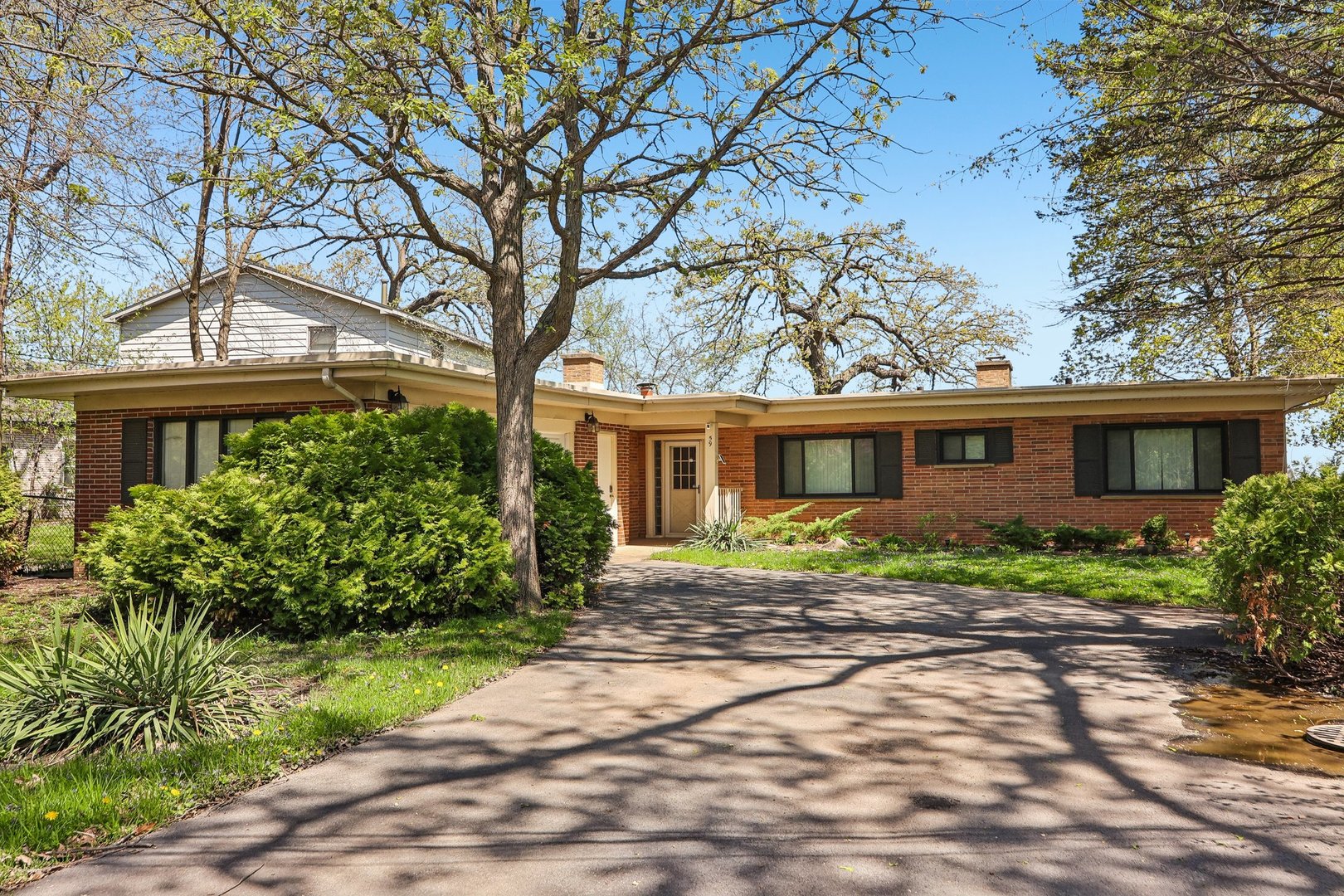 59 Cora Avenue