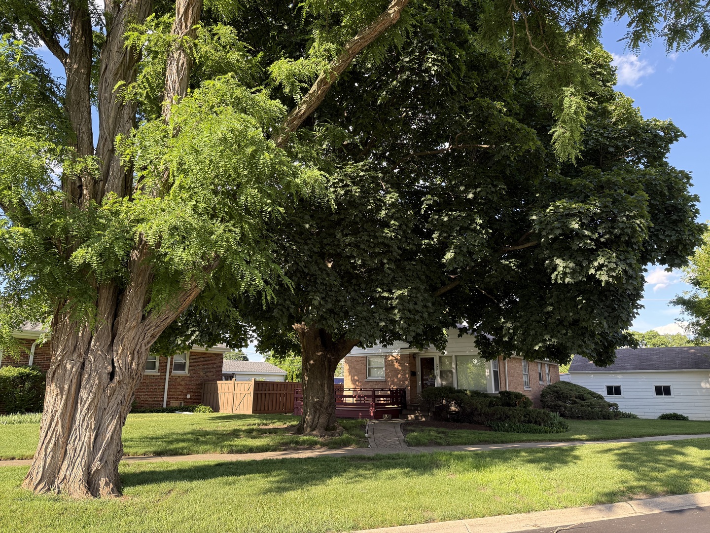 344 Parallel Street