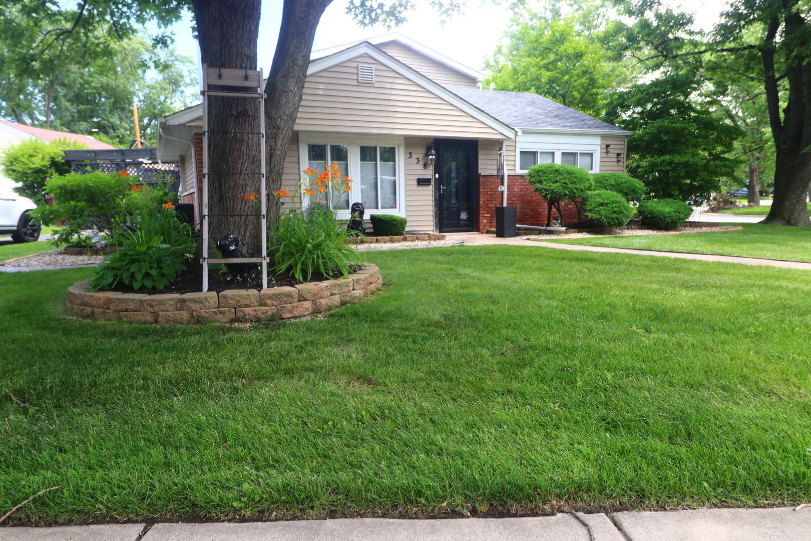 338 Mohawk Street