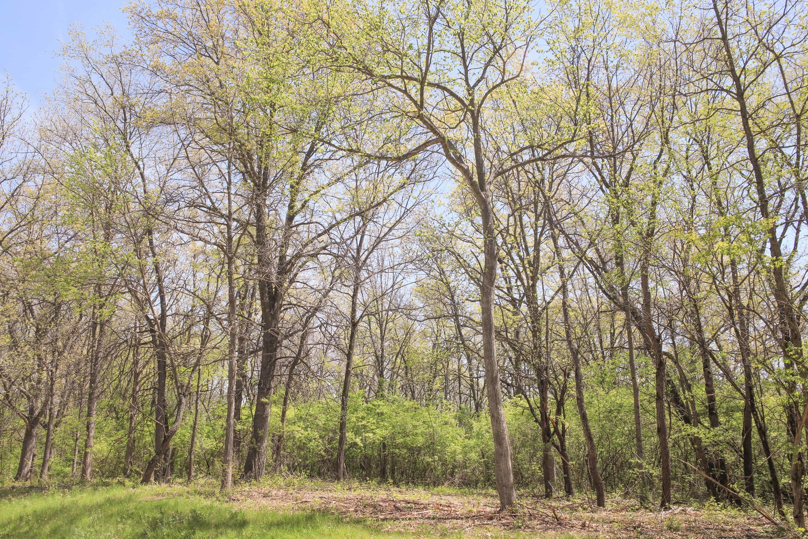 704 Echo (Lot 21) Trail