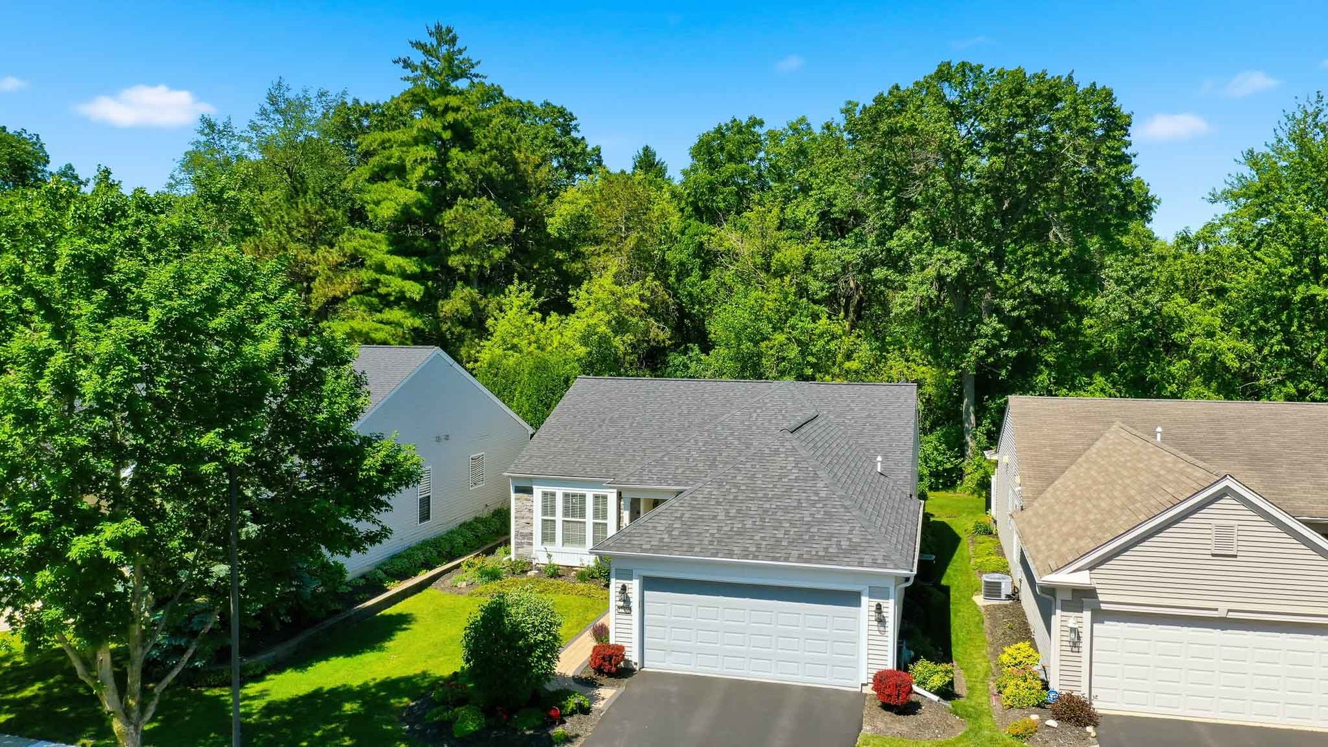 12365 Lilly Lane