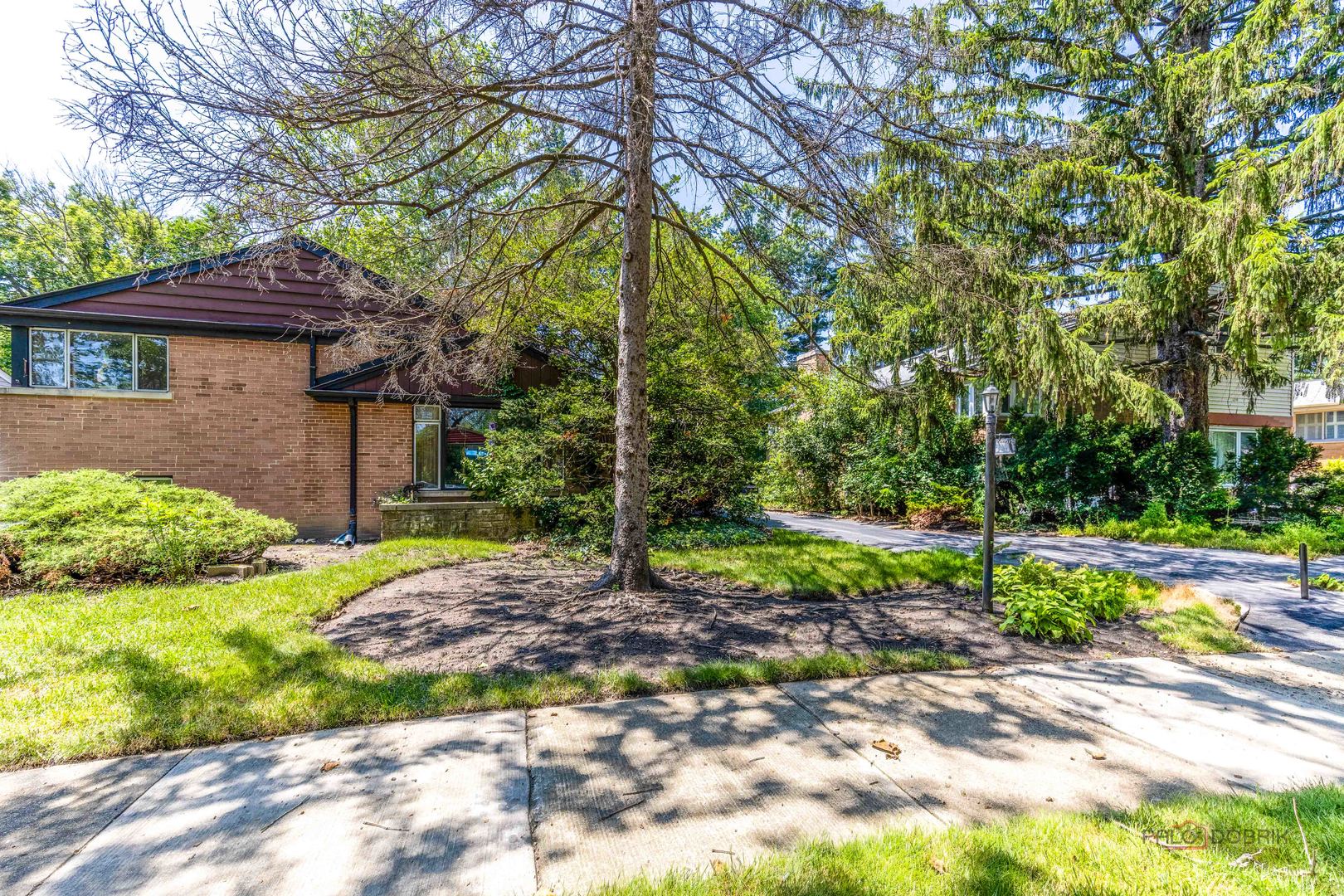 9320 Forestview Road