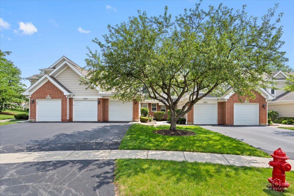 325 Odlum Court
